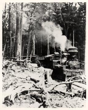 Shay No. 5 on tracks in the forest. Cheat Mountain; Cass, W.V.