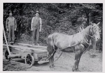 Portrait of two men in the forest with a horse pulling their cart along tracks.