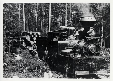 Cass, W.Va.  Pulp and Paper Co. Engine No. 2; Engineer Lewis Collins sitting on stump.  Note the size of timber that was cut from pulpwood.; A.F. Burrell, Box 207, Cowen, WV