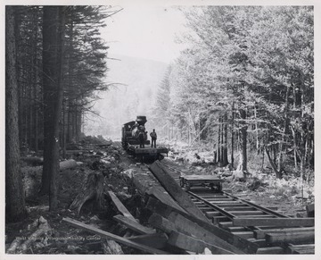 Train engine on tracks in forest. 