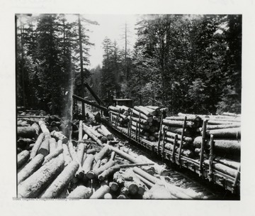 Picture of Logs being loaded onto a train cargo cart.  
