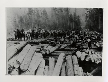 Large group of men and horses standing on logs.  