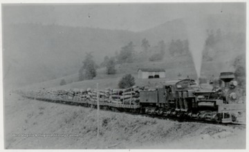 One of 12 Shay Engines pulling log trains at Cass, W.Va. during 1920's.  Now Site of W.Va. Scenic Railway.