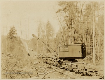 Three logs being lifted by a crane.