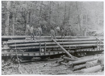 Men standing on top of logs on a flat car or gondolas?  Wildell, W.Va.