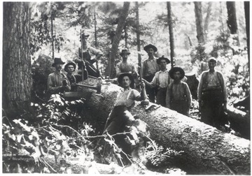 Group portrait of logging crew with equipment standing next to felled tree.
