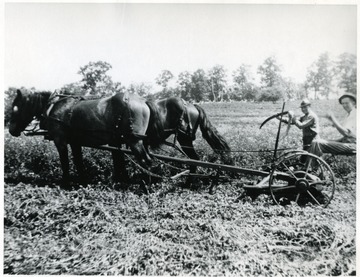 Two men operate a horse drawn plow.