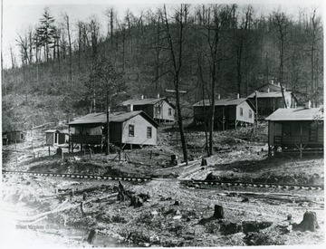 Houses at the Dunedin Coal Co. camp.