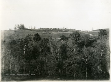 A view of Walnut Hill from the University, showing the woods in Falling Run in the foreground.