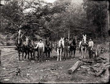 A portrait of loggers and their work horses in Helvetia, W. Va.