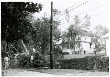 Workers clearing the fallen trees by tornado on the corner of Lawman Street and Cherry Avenue.