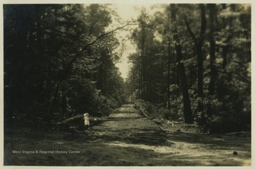 An early image of the entrance to Cooper's Rock State Forest before gates or other structures were built.  During the Great Depression the Civilian Conservation Corps built a number of structures for the State Forest.