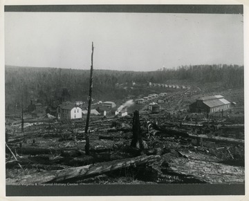 This image is part of the Thompson Family of Canaan Valley Collection. The Thompson family played a large role in the timber industry of Tucker County during the 1800s, and later prospered in the region as farmers, business owners, and prominent members of the Canaan Valley Community.A view of Benbush, W. Va. 