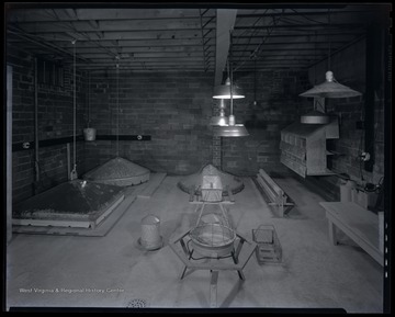 Interior view of a room dedicated to raising and housing poultry. 