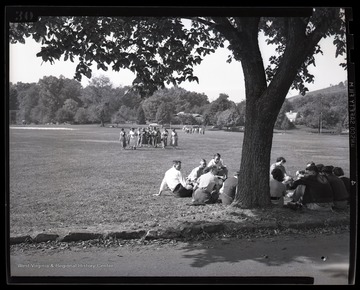 A group of boys and girls sit beneath a tree. Subjects unidentified. 