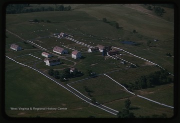 Aerial photograph of the university's animal farm. 