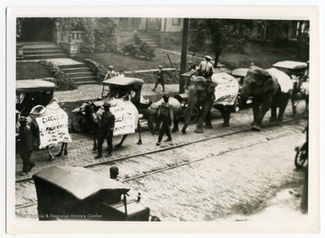 Camels and elephants with their handlers walk down a street wearing advertisements for Coca Cola and a circus.
