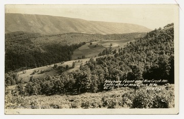 Photograph taken 8 miles west of New Creek, W. Va. on US Route 50. Elevation 2725 feet.