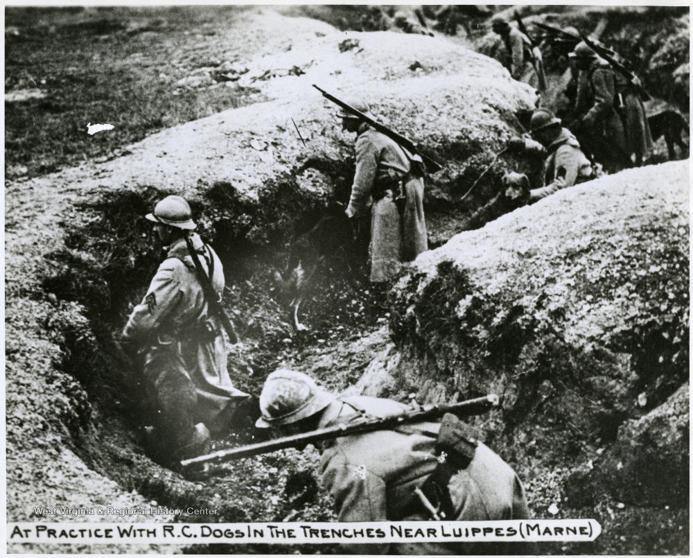 Practice with R.C. Dogs in the Trenches Near Luippes during World War I ...