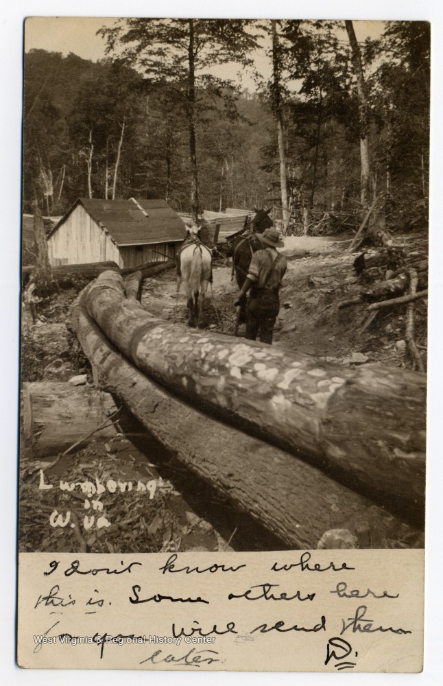 Lumbering in W. Va. - West Virginia History OnView | WVU Libraries