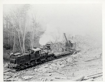 Mower Lumber Company log loader loading logs onto train; Cass, W.V.<br />