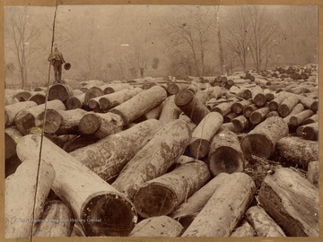 Three men standing atop piles of logs. Pardee and Curtin Lumber Company.