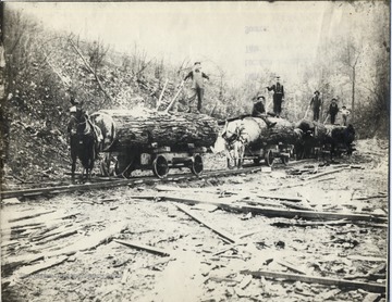 Horses pull cars with large sections of logs along tracks.  Loggers pose on logs.