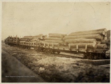 Fully loaded log train on tracks.