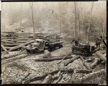 Logging crew loading truck.
