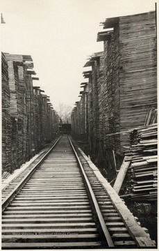 Train track in the middle of lumber piles.  Rainelle, W.V.