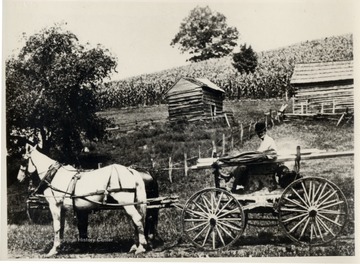 Shooter's wagon with his team of horses carrying nitroglycerin.