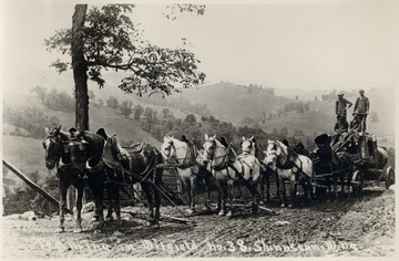 Team of eight horses pulling a cart with oil equipment and crew.