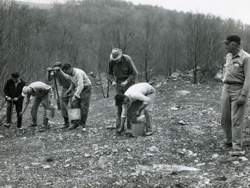 Farm workers planting seedlings in rocky soil.
