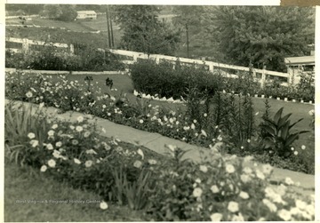 The yards of the New River Company in Fayette County with flowers and a walkway shown.