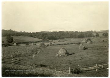 Valley with haystacks. Text on back reads, 'The atkins silt loam in the broad valley bottoms has always been used for growing hay.' U.S. Dept. of Agriculture, Bureau of Agricultural Economies, Photographic Section, number 18419.