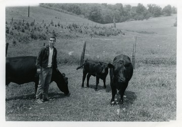 Scott Henry standing beside his angus cattle.