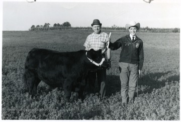Richard Glass a member of F.F.A. stands next to Phillip Glass while holding the tether of a steer on the Gregg farm.