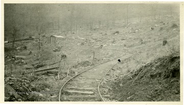 Tracks running through deforested area.