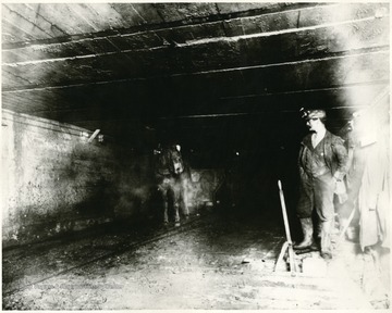 Caption on back reads, 'Picture of Perry Vernon with his lard oil miner's lamp in the Monongah mine previous to that mine's explosion in 1907. Mr. Vernon resided in South Side Fairmont, hastily gathered a group of rescuers a few minutes after the Monongah explosion occured and was the first party to reach the scene of the explosion. The group traveled by a special street car which was operated by James O. Watson, II.'