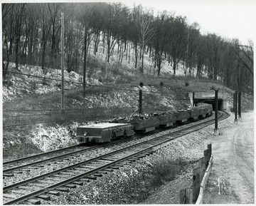 Miner operates a train of loaded cars from the Mathies Mine.