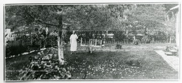 Yard of N.N. Foster at Prudence which won first prize in the Sweepstakes Contest.