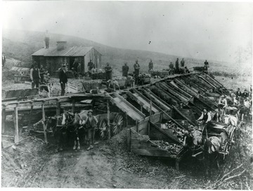 Miners and horses and dogs used to haul cart loads full of coal.