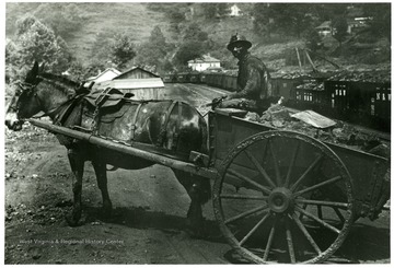 Man driving a horse drawn coal cart.  Coal train in background at right.