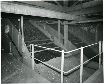 Coal traveling down a conveyors into bins.