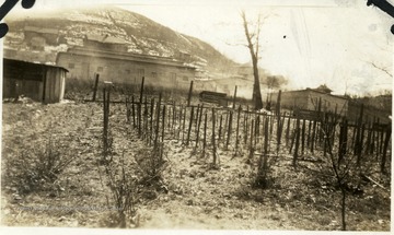 A garden with wooden stakes in the ground.