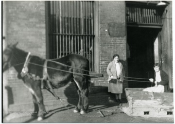 Women are Frances Bennett and Mrs. W. F. Nelson (Nellie). One of the women is sitting in a horse drawn wagon holding on to the reins.