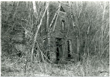 Partial brick structure among trees.