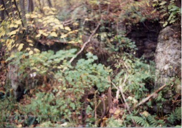 The remains of the Fire Creek Headhouse are partially hidden. Film developed in November 1990.