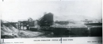Collins Operation - tipple and coke ovens.  Collins Colliery Co., Fayette County.  Daily capacity 1200 tons, 125 tons.