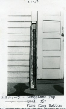 Coal Drill Core led at Williams River Mine, Webster County, W. Va. 